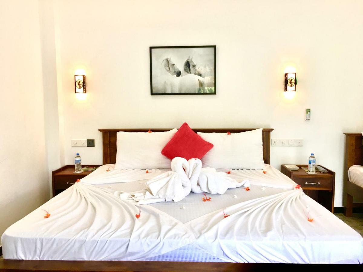 Jenushi Homestay 캔디 외부 사진